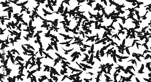 Flying bird silhouettes flock pattern black birds in motion isolated on white background wildlife nature illustration