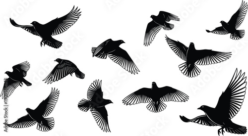 Flying bird silhouettes collection isolated on white background black birds wings spread nature wildlife vector illustration set