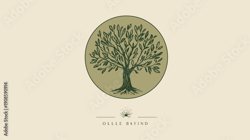Elegant hand-drawn olive tree illustration in a circular frame, symbolizing nature, organic growth, and Mediterranean lifestyle.
