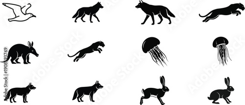 Collection of animal silhouettes