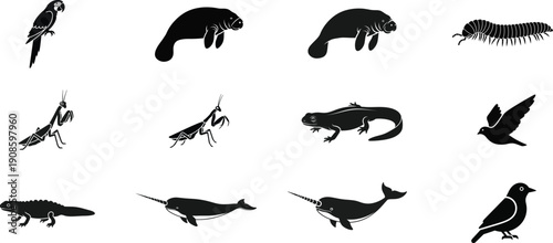 Collection of various animal silhouettes