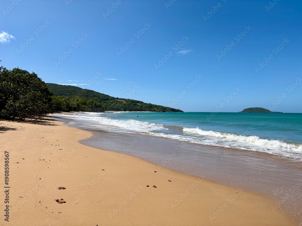 Fototapeta premium Plage en Guadeloupe