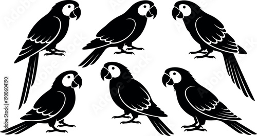 Parrot silhouette vector set, tropical bird illustration collection, exotic macaw icons, black and white wildlife graphics, decorative animal design elements