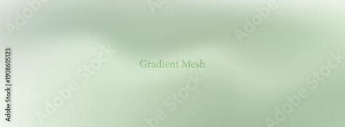 Gradient Mesh Multi Color (Green, White) Background or Backdrop Design With Fully Editable File