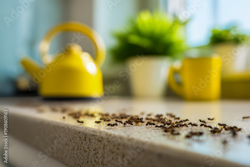 Numerous ants marching across a kitchen counter with bright yellow kettle and cup in soft background sunlight creating a lively home scene
