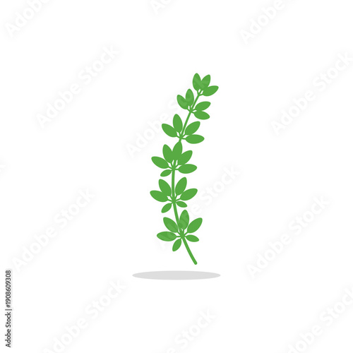 Minimal Flat Thyme Herb Sprig with Subtle Shadow Vector Icon
