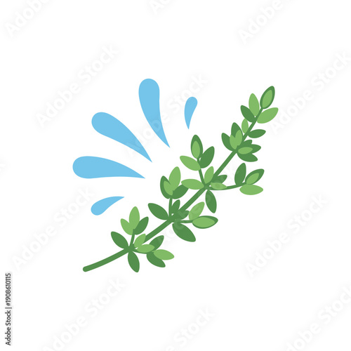 Flat Vector Illustration of Thyme Sprig with Water Droplets