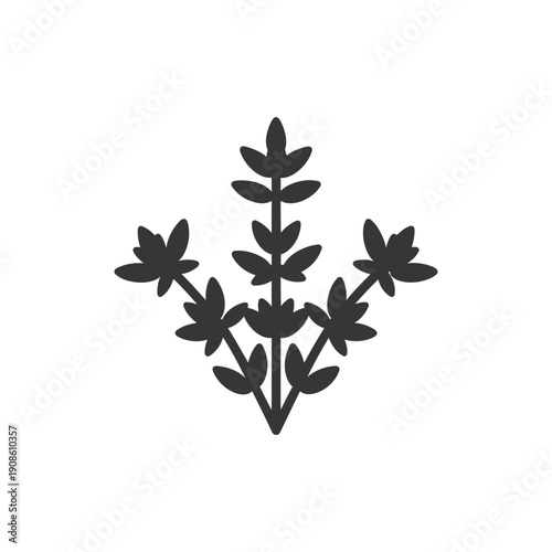 Minimal Flat Vector Icon of Thyme Herb Sprig with Spreading Leaves