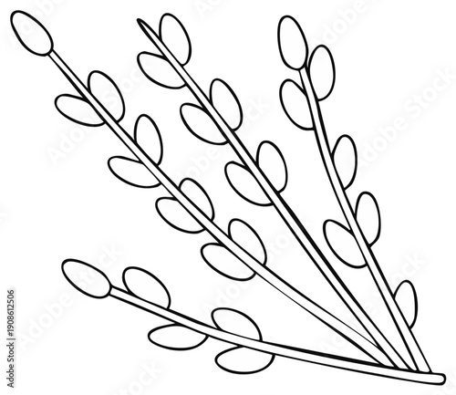 Black and white line art drawing of pussy willow branches with buds symbolizing spring and nature