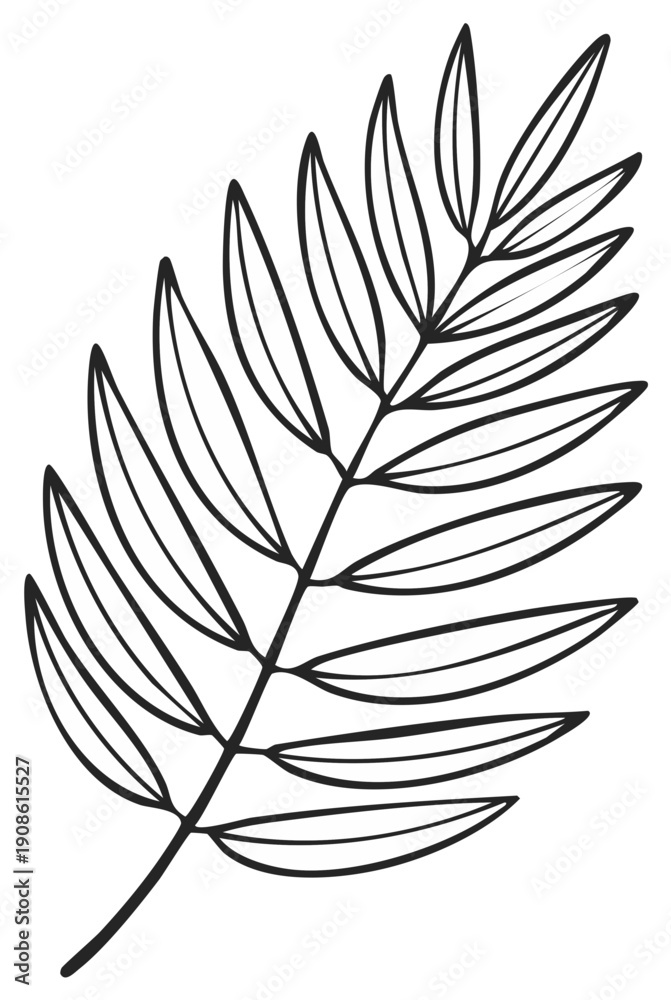 Fototapeta premium Elegant hand drawn tropical palm leaf silhouette isolated on white background simple line art