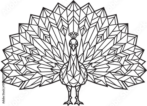 Geometric Peacock with Fan Tail - Minimalist Line Art Vector