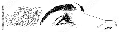 realistic eye with detailed eyelashes looking upward in sketch style