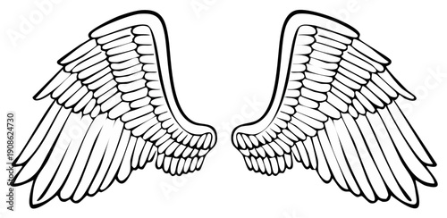 Pair of detailed spread wings illustration