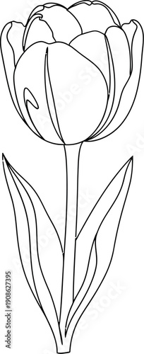 Simple continuous line art drawing showcasing a beautiful unopened tulip flower with its long stem and distinct elongated leaves isolated on a clean white background for easy customization.