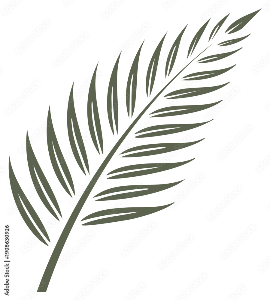 Fototapeta premium Stylized Illustration of a Tropical Palm Leaf Isolated on White