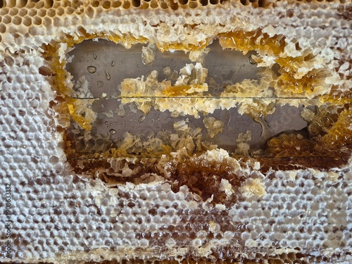 Title: Natural honeycomb with fresh golden honey and wax texture