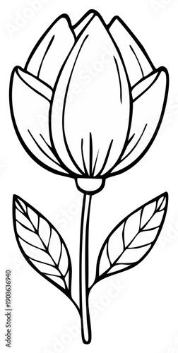 Simple Outline Drawing of a Tulip Flower with Leaves and Stem