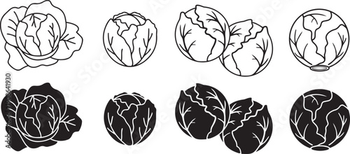 Cabbage Collection: A visually appealing array of cabbage illustrations, showcasing various perspectives and styles, perfect for culinary and agricultural themes.