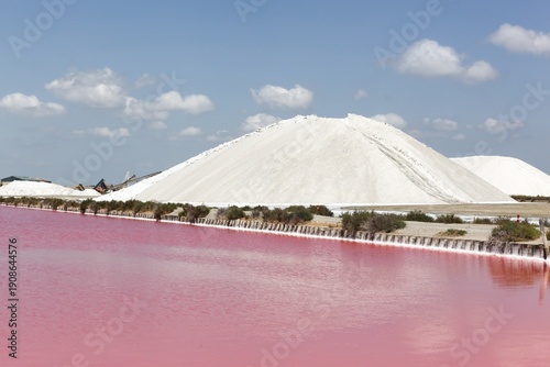 Salt marshes in Aigues Mortes, France