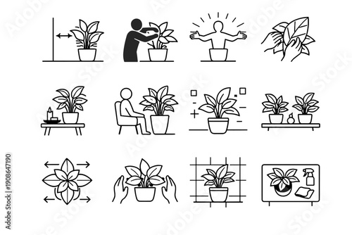 Image access wall calm simple full reach plant icon generation layout from