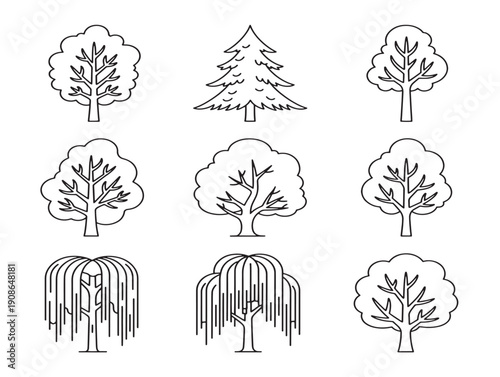 Natural tree clipart 2D vector line art for a gorgeous nature project