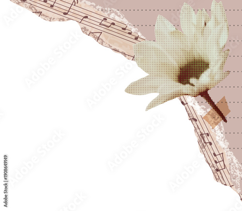 Corner frame and border with torn paper and daisy flower