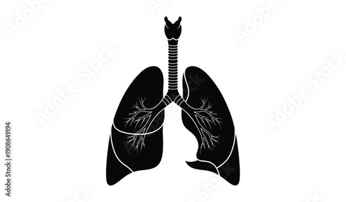 A detailed illustration of human lungs with trachea and bronchi in black
