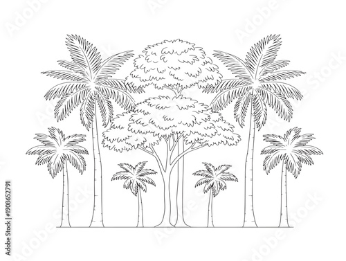 Tropical tree collection line art vector with beautiful palm and broad leaves