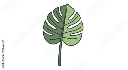 Green Monstera Leaf Close Up.