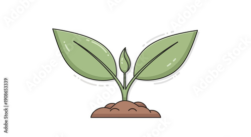 Green plant sprout with leaves growing.