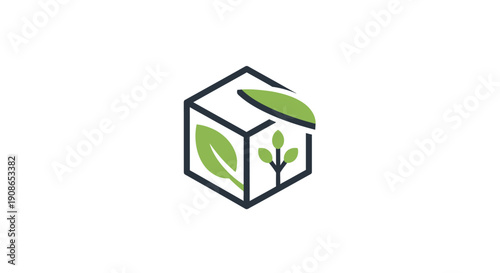 Green Plant Growing Inside Cube Container.