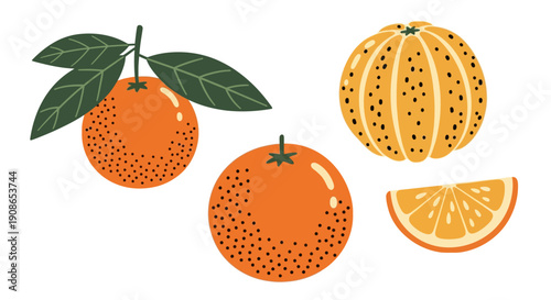 Vibrant oranges and leaves arranged alongside sliced citrus fruits in a graphic illustration style from a direct viewpoint