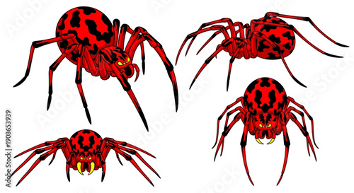 Illustrations of red spiders from various viewpoints on a clean background showcasing their distinct features and anatomy