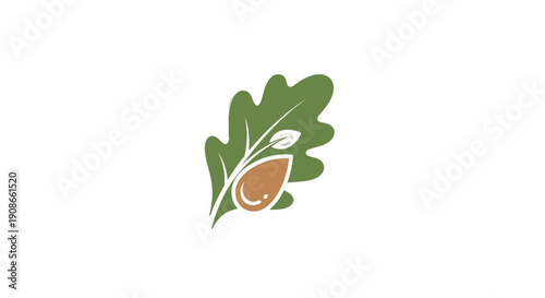 Simple illustration of an acorn with leaves.