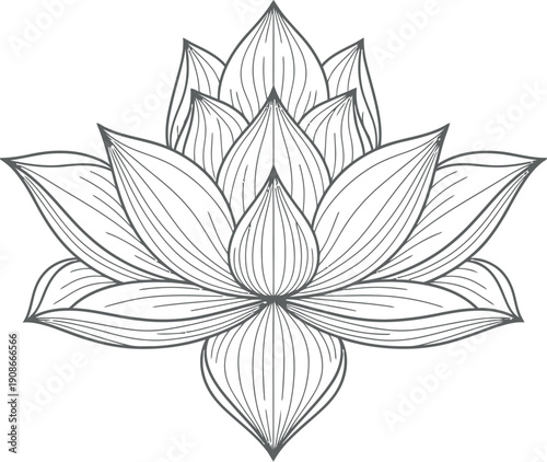 Detailed black and white line art drawing of a beautiful fully bloomed lotus flower representing purity and spiritual awakening perfect for spiritual design projects.