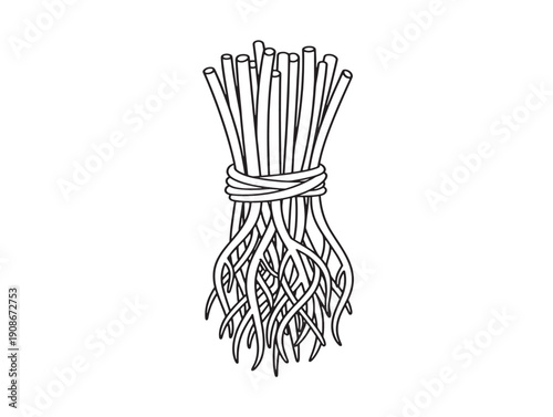 Nature inspired root forms illustrated in vector outline