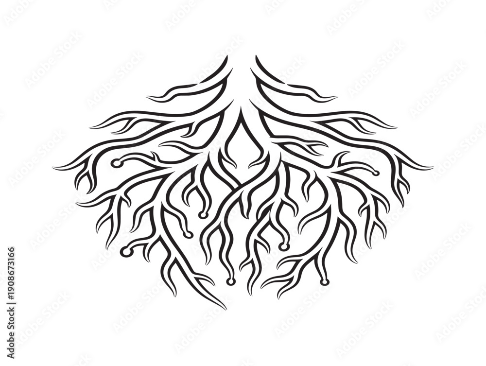 Fototapeta premium Botanical root fragments illustrated in clean vector style