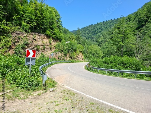 Tablou pe pânză scenic mountain drive, a serpentine road winds through a dense, green landscape