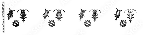 Sketch zooplankton icon design set