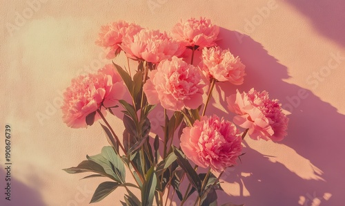 Artistic flat lay of pink peonies arranged on a textured pastel background, illuminated by soft diffused light for an elegant floral composition