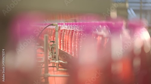 Automated conveyor belt moving rows of plastic bottles with carbonated soft drink at beverage factory