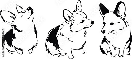 Corgi Dog Sketch Set Vector Illustration, Cute Puppy Poses Black and White Line Art