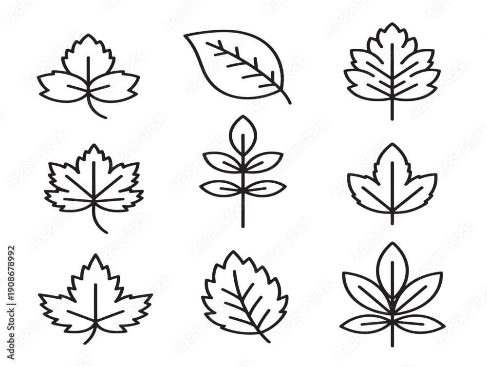 Obraz premium Leaf scatter set floating foliage line art vector