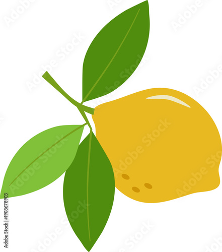 lemon with stem and leaves