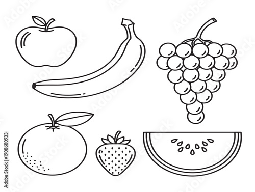Assorted fresh fruits illustrated in clean line art