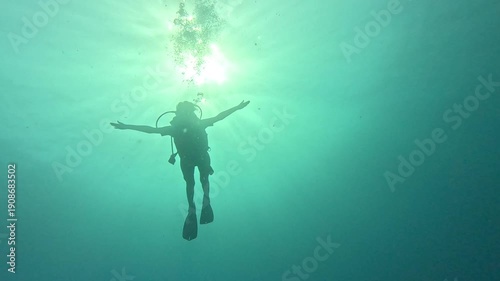 A diver gracefully gliding over the clear ocean floor captures the essence of underwater exploration