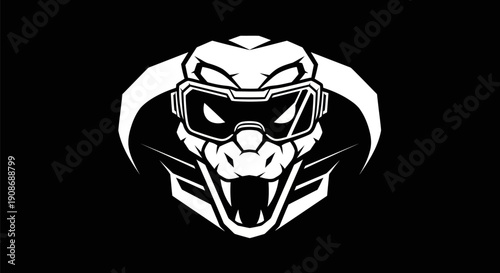 Cobra head design with protective eyewear