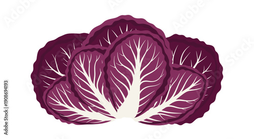 A tightly packed head of fresh radicchio, displaying dark red and distinct white veins, is isolated on a white background.
