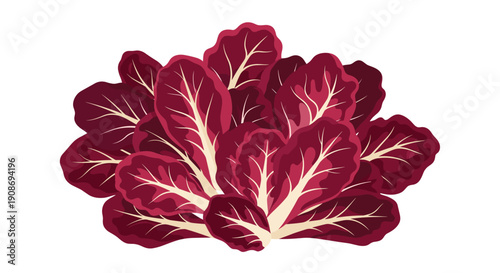 A loose cluster of fresh radicchio leaves, featuring deep red color and distinct white veins, on a white background.