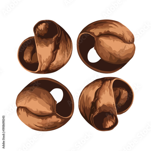 Four intricately designed chocolate truffles with unique patterns and textures. isolated on white background, Vector, illustration